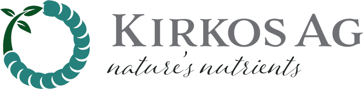 Kirkos AG logo